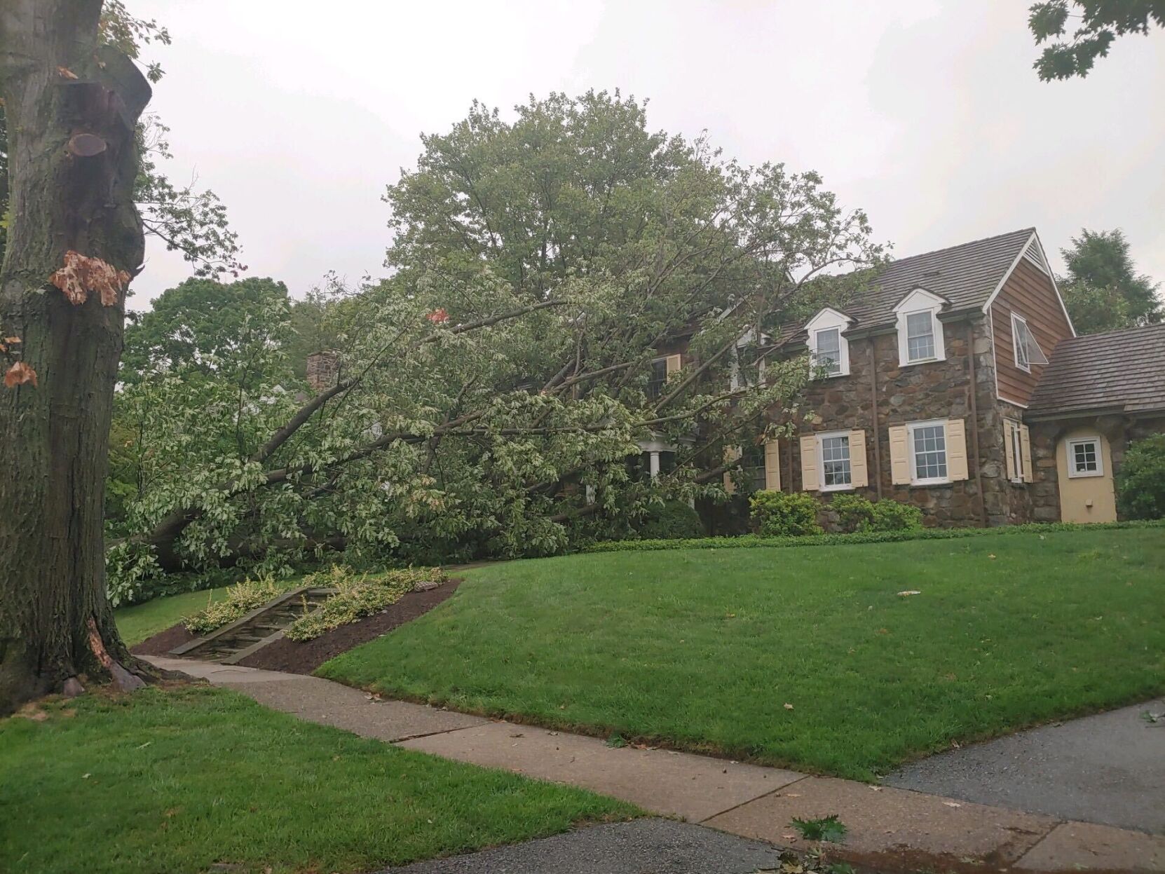 Alapocas damage 080720